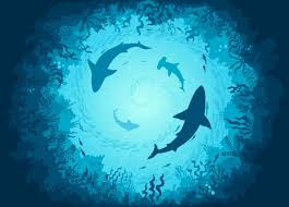 Under the Sea Dance Camp
